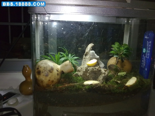 20100411213.jpg