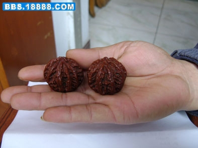 DSC06452.llljpg.jpg