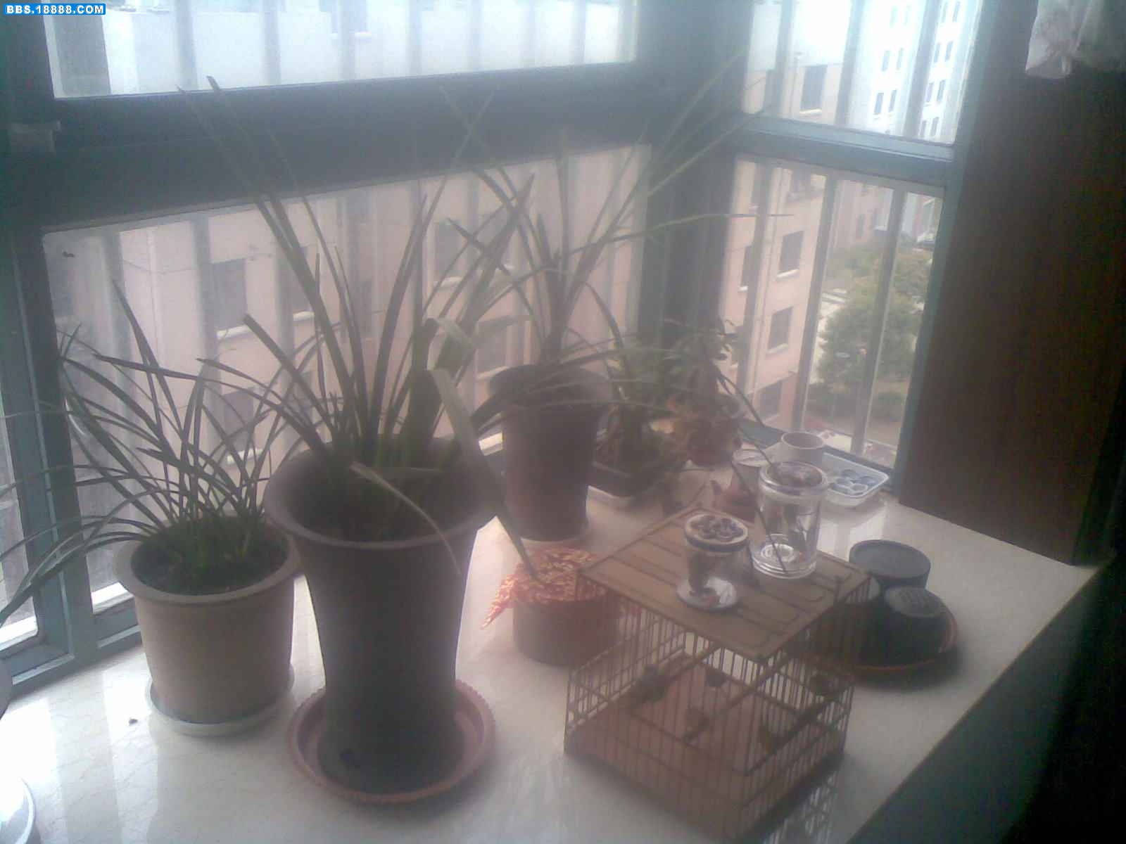 04222010(005).jpg