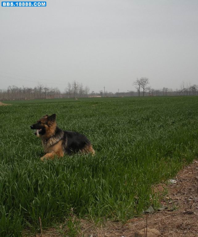DSCN0866.JPG