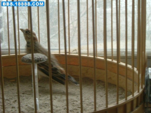 DSCF8746.JPG