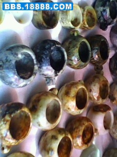 IMG04241216aa.jpg