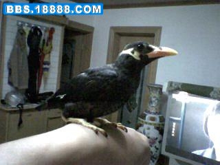 32_22657_573d4ee1a1c9487.jpg