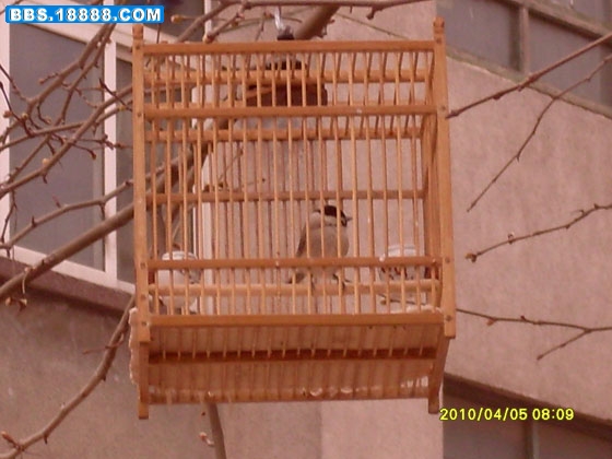 SDC12458.jpg