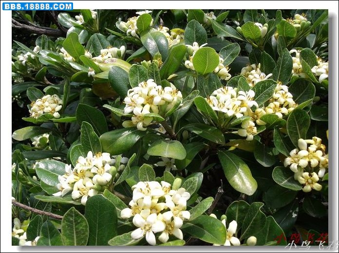 DSCF3976.jpg