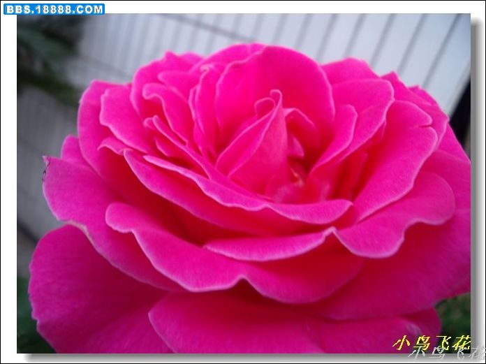 DSCF3995.jpg