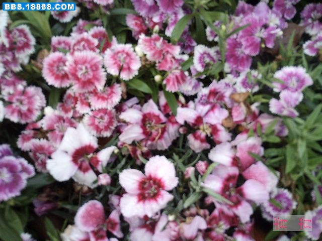 nEO_IMG_PICT0167.jpg