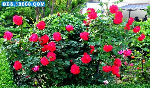 DSC_5483.JPG