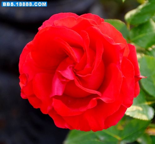 DSC_5543.JPG