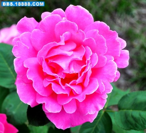 DSC_5499.JPG