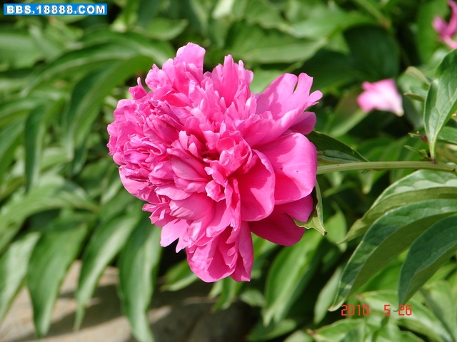 DSC04802_缩小大小.JPG