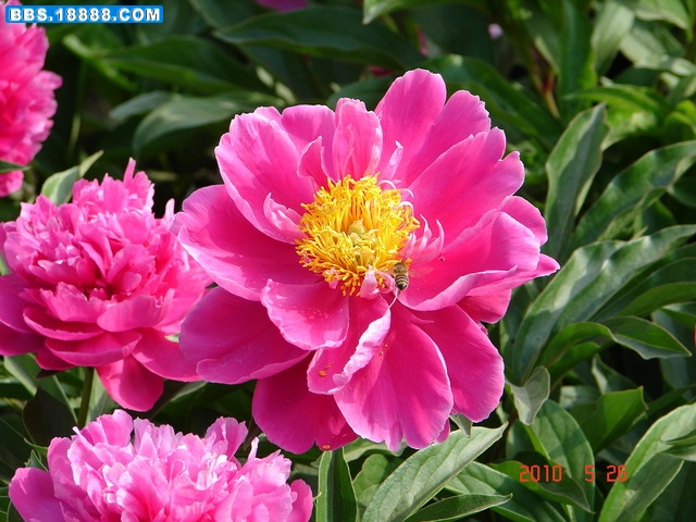 DSC04807_缩小大小.JPG