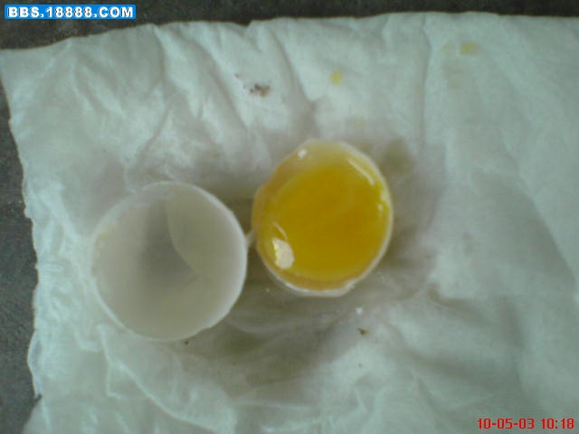 DSC00001.JPG