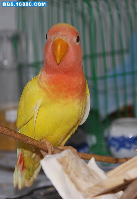 DSC_8140.JPG