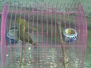 20100524(003).jpg