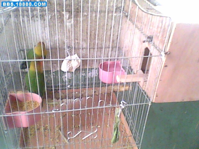 IMG0261A.jpg