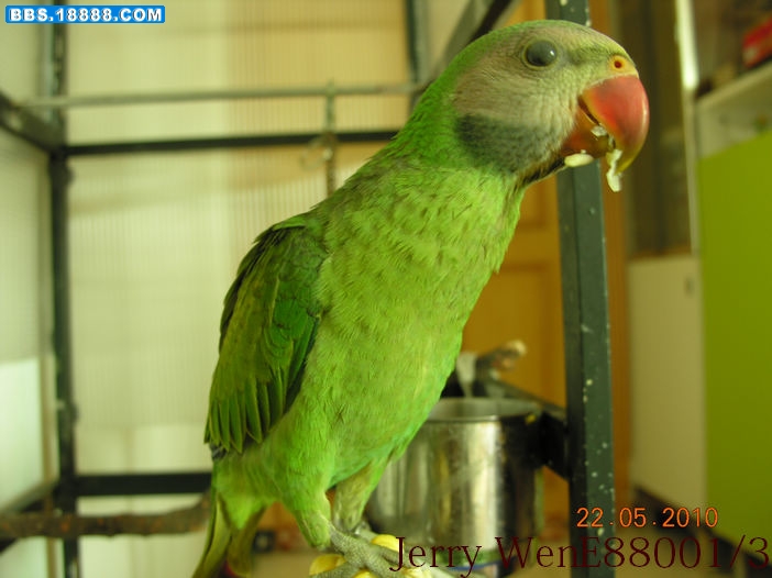 DSCN2343.JPG