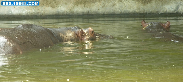 DSCN2270.JPG