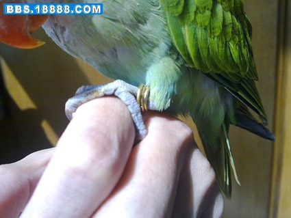 20100501016.jpg