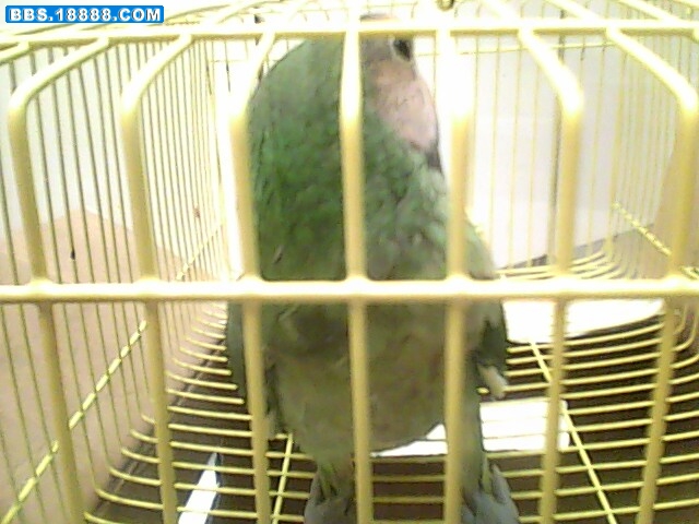 IMG0277A.jpg