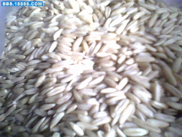 IMG0301A.jpg