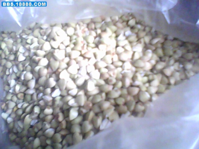 IMG0302A.jpg