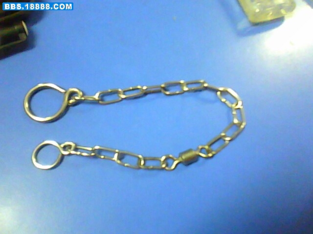 IMG0308A.jpg