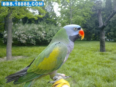 201005081821.jpg