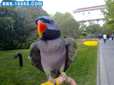 201005081825.jpg