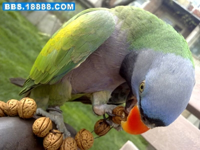 201005081804.jpg