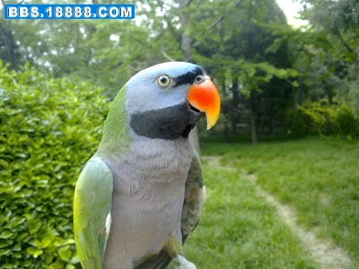 201005081823.jpg