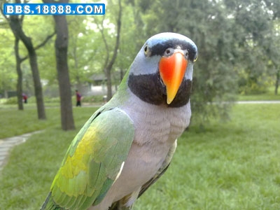 201005081816.jpg