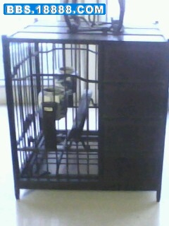 IMG0134A.jpg