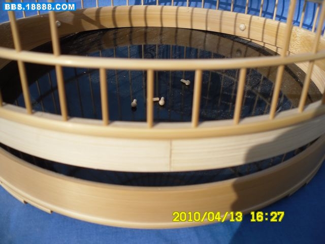 SAM_0039.JPG
