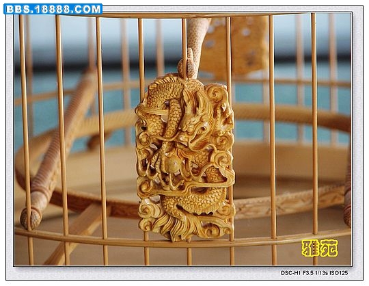 nEO_IMG_DSC007广笼2a.jpg