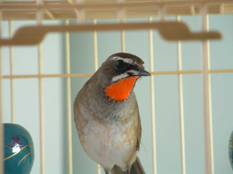 DSCF0120.JPG