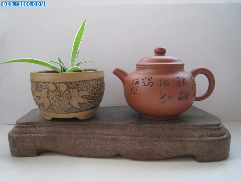 照片 108_conew1.jpg