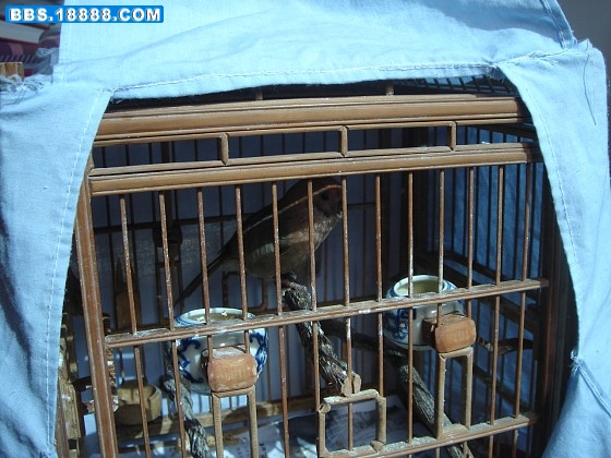 img002.jpg