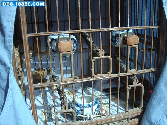 img005.jpg