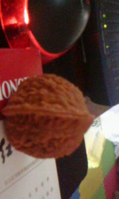IMG0040A.jpg