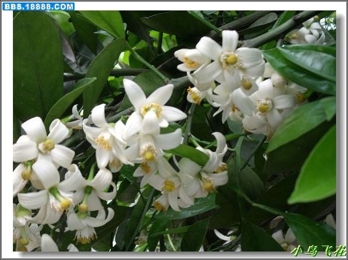 DSCF2283.jpg