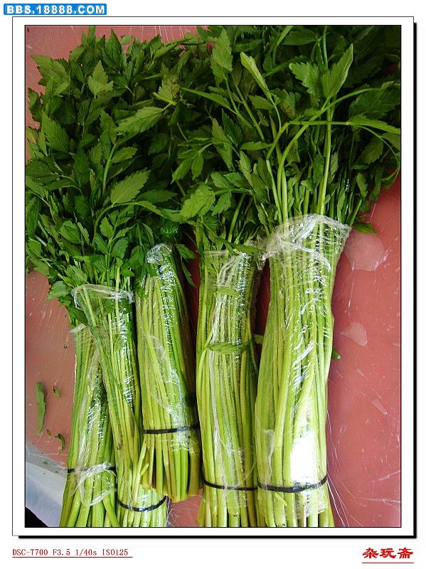 5绿叶菜.jpg