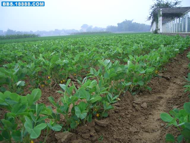 CIMG8167.JPG