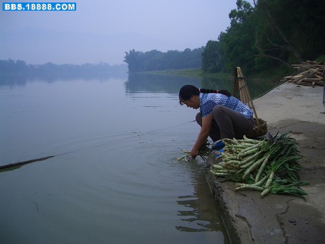 CIMG7670.JPG