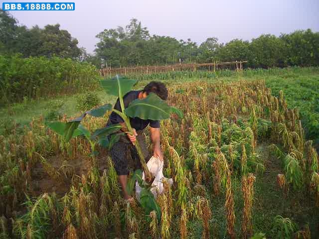 CIMG7359.JPG