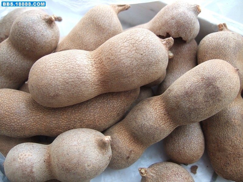 images001.jpg