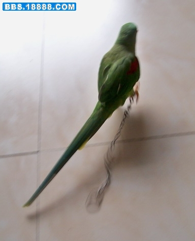 100_4131.jpg