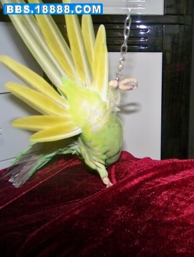 100_4155.jpg