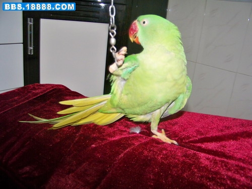 100_4154.jpg
