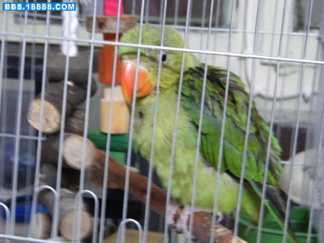 DSCF0266.JPG